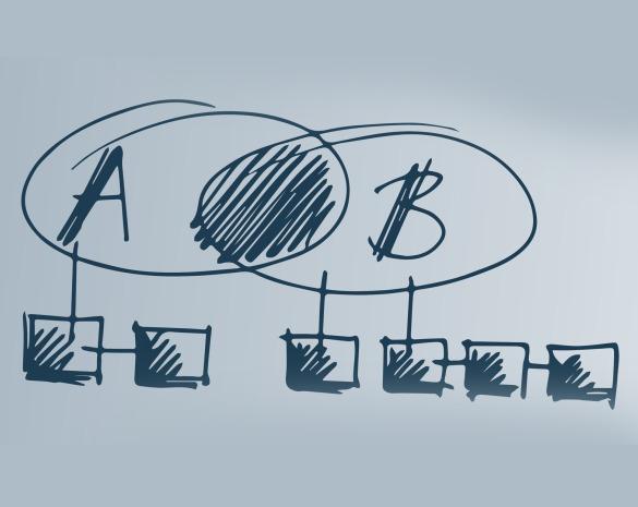 Veränderung begleiten -<br>Management auf Zeit