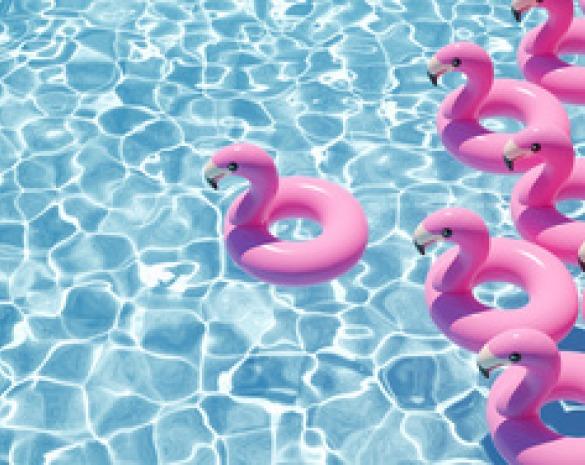 Praktische Philosophie - <br> für komplexe Fragen und Projekte